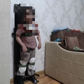 вертикалезатор