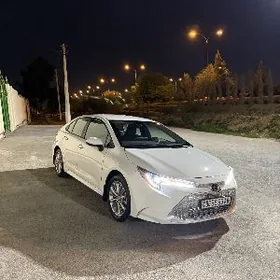 Toyota Corolla 2024