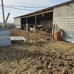 SATLYK 20-GEKTAR MULK YERY.