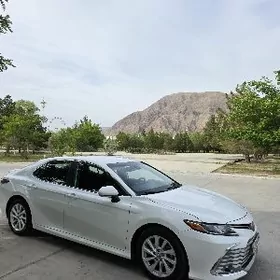 Toyota Camry 2022