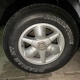 patfinder diska teker