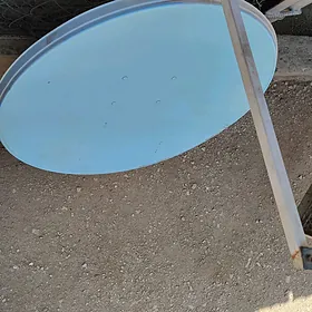 Anten kici tarelkasy