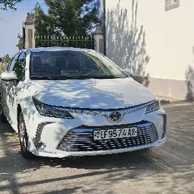 Toyota Corolla 2022