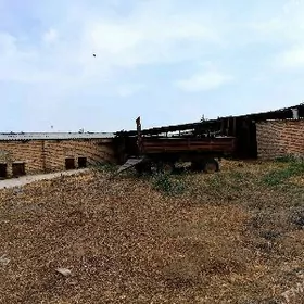 SATLYK 20-GEKTAR OMURLYK MULK