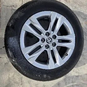 kalpak diska ozi bilen gelen