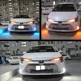 Karolla tumani 2019.2025 taze