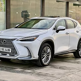Lexus NX 350 2022