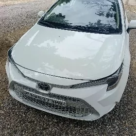 Toyota Corolla 2021