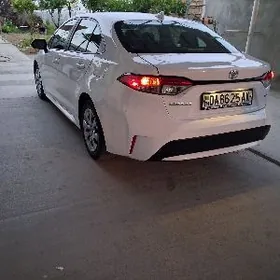 Toyota Corolla 2023