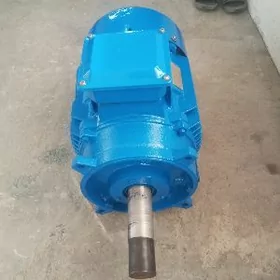 Elektro dwigatel mator