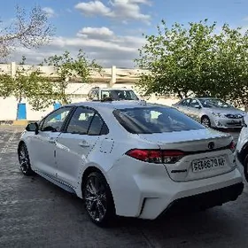 Toyota Corolla 2024