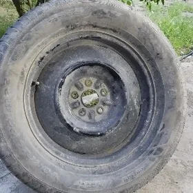 Sienna Zapaska 17 lik