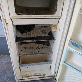 халоделник