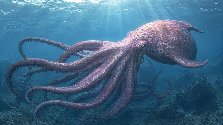 Uzynlygy 19 metre ýeten gadymy äpet osminoglaryň yzy tapyldy