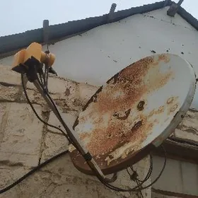 Anten iki galofka stoyka