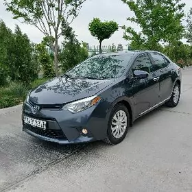 Toyota Corolla 2013