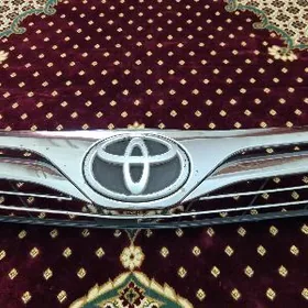 Abrisovka Palta Camry