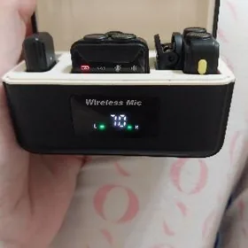 микрофон петлички