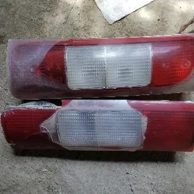 Gazel stopnik