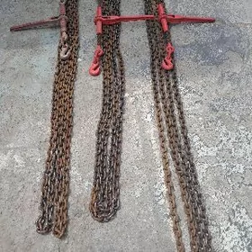 zynjyr trsotka