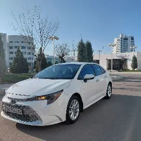 Toyota Corolla 2022