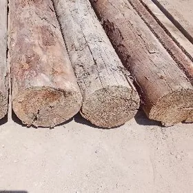 agaç