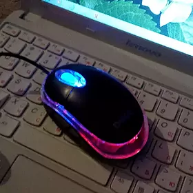 Мышка для компьютера