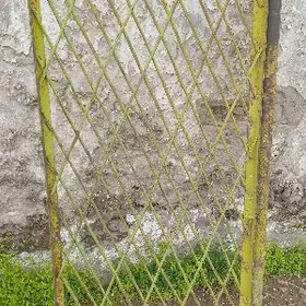 железная дверь