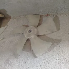 mantifon wiltikyatir