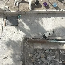 стиралка LG 5кг