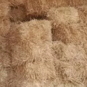 saman гамыш гатшыклы