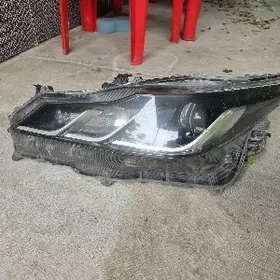 22 haliji corolla fara