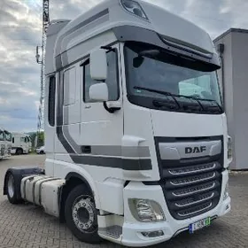 DAF 480 2021