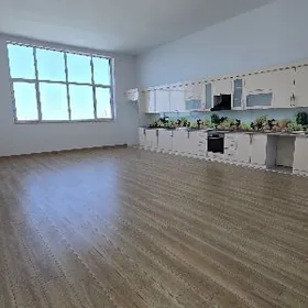 Элитка Дуплекс 650 м²