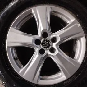 higlander diska tiger