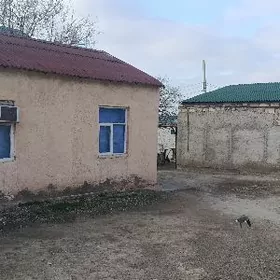 djanga erlesyan eri jay