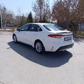 Toyota Corolla 2022