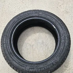 255,55,19 Michelin