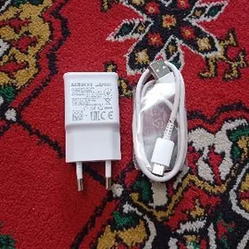 samsung orginal zaryatnik