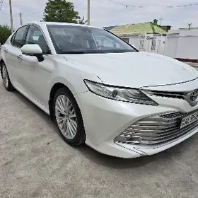 Toyota Camry 2019