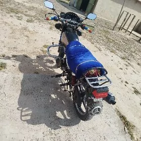 Fekon FK200-14G 2025