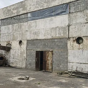 Bitum-mastika zawody