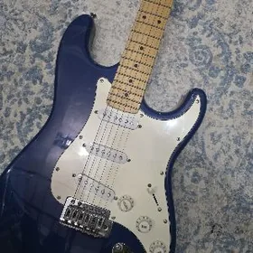 Elektro Gitara