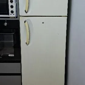 satlyk LG haladilnik