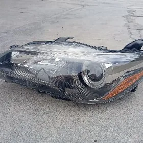 Azyada fara çep tarap