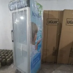 UGUR ARGINAL MITRNA HOLDIK