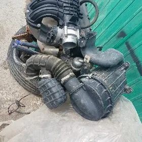 Gazel matory inzektir