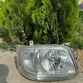 Haýs Fara 2012 haliji