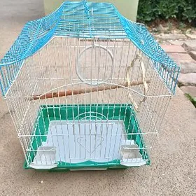 setka popugay сетка попугай