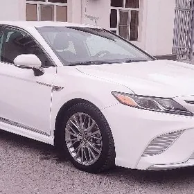 Toyota Camry 2019
